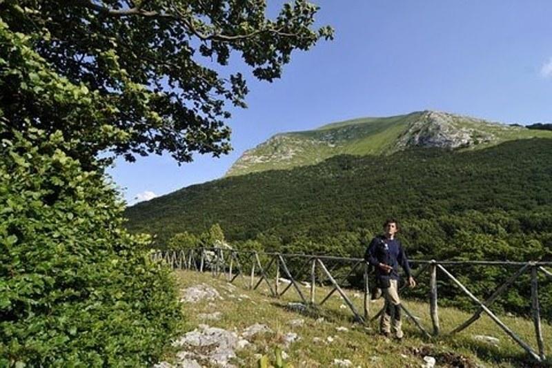 Appartamento Il Grillo Fossato di Vico Rum bild